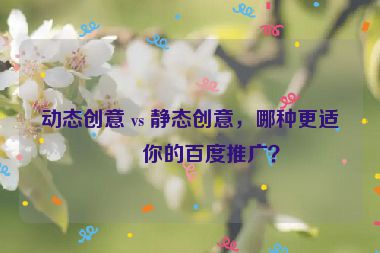 動(dòng)態(tài)創(chuàng)意 vs 靜態(tài)創(chuàng)意，哪種更適合你的百度推廣？
