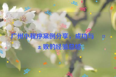 廣州小程序案例分享，成功與失敗的經(jīng)驗總結(jié)