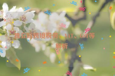 獨立站跨境稅務，VAT、GST等全解析