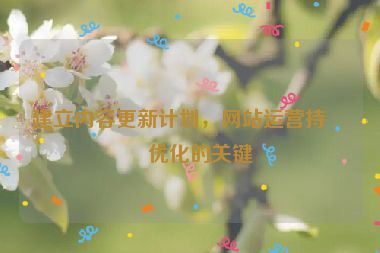 建立內容更新計劃，網站運營持續(xù)優(yōu)化的關鍵