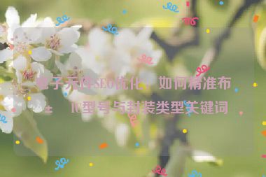 電子元件SEO優(yōu)化，如何精準(zhǔn)布局IC型號與封裝類型關(guān)鍵詞