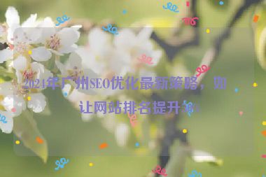 2024年廣州SEO優(yōu)化最新策略，如何讓網(wǎng)站排名提升50%