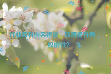 行業(yè)百科內(nèi)容建設，如何提升網(wǎng)站權(quán)威性？