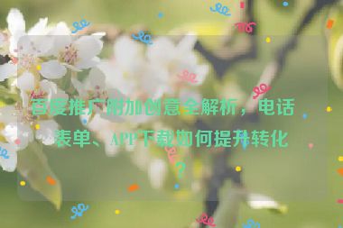 百度推廣附加創(chuàng)意全解析，電話、表單、APP下載如何提升轉(zhuǎn)化率？