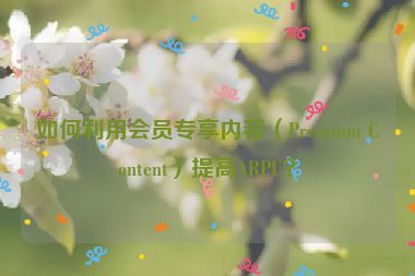 如何利用會員專享內(nèi)容（Premium Content）提高ARPU？