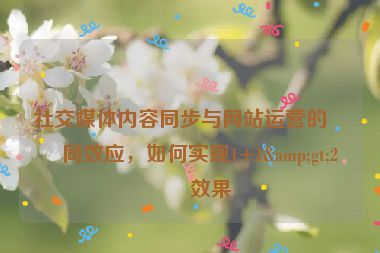 社交媒體內(nèi)容同步與網(wǎng)站運營的協(xié)同效應(yīng)，如何實現(xiàn)1+1&gt;2的效果