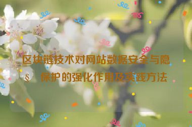 區(qū)塊鏈技術對網(wǎng)站數(shù)據(jù)安全與隱私保護的強化作用及實踐方法