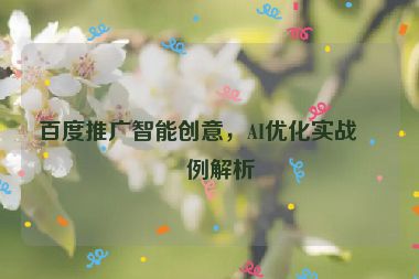 百度推廣智能創(chuàng)意，AI優(yōu)化實(shí)戰(zhàn)案例解析