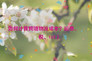 如何計算跨境物流成本？運費、關(guān)稅、VAT）