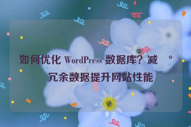如何優(yōu)化 WordPress 數(shù)據(jù)庫(kù)？減少冗余數(shù)據(jù)提升網(wǎng)站性能