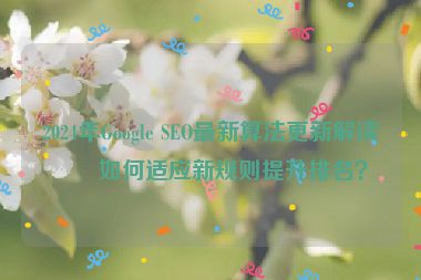 2024年Google SEO最新算法更新解讀，如何適應(yīng)新規(guī)則提升排名？