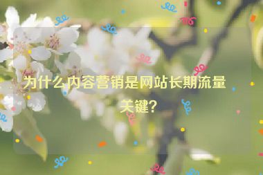 為什么內(nèi)容營(yíng)銷是網(wǎng)站長(zhǎng)期流量的關(guān)鍵？