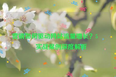 營銷如何驅(qū)動網(wǎng)站流量增長？5個實戰(zhàn)案例深度解析