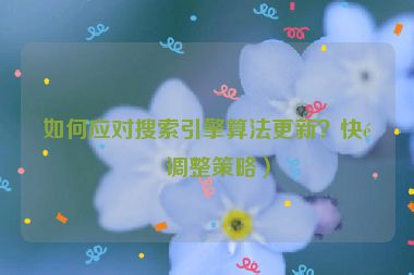 如何應(yīng)對(duì)搜索引擎算法更新？快速調(diào)整策略）
