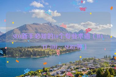 SEO新手必知的10個(gè)專(zhuān)業(yè)術(shù)語(yǔ)（DA、TF-IDF、SERP等）