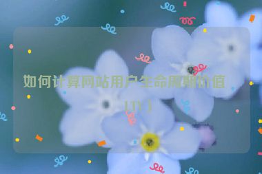如何計(jì)算網(wǎng)站用戶生命周期價(jià)值（LTV）