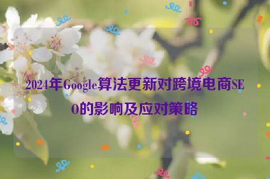 2024年Google算法更新對跨境電商SEO的影響及應(yīng)對策略