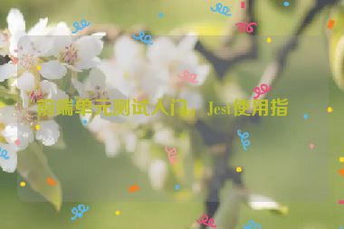 前端單元測(cè)試入門，Jest使用指南