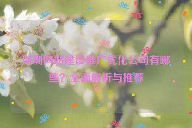 深圳網(wǎng)站建設(shè)推廣優(yōu)化公司有哪些？全面解析與推薦
