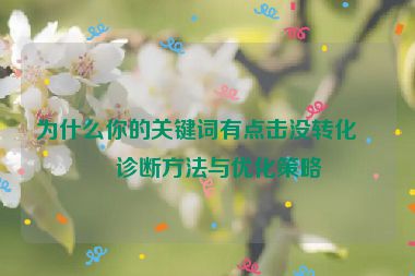 為什么你的關(guān)鍵詞有點(diǎn)擊沒(méi)轉(zhuǎn)化？診斷方法與優(yōu)化策略