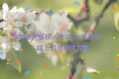 保護用戶版權(quán)，推動UGC在外貿(mào)網(wǎng)站上的可持續(xù)發(fā)展