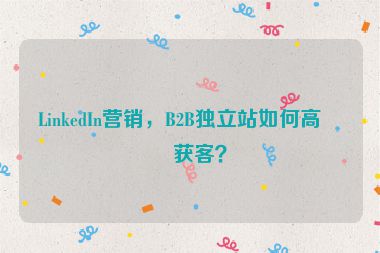 LinkedIn營銷，B2B獨立站如何高效獲客？