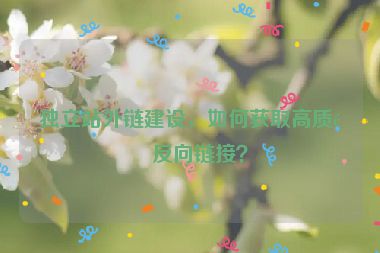 獨(dú)立站外鏈建設(shè)，如何獲取高質(zhì)量反向鏈接？