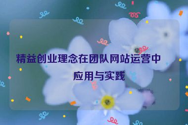 精益創(chuàng)業(yè)理念在團(tuán)隊(duì)網(wǎng)站運(yùn)營中的應(yīng)用與實(shí)踐