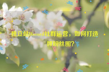 獨(dú)立站Discord社群運(yùn)營(yíng)，如何打造品牌粉絲圈？