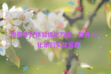 電商支付體驗(yàn)優(yōu)化方案，提升10%轉(zhuǎn)化率的實(shí)戰(zhàn)策略