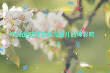 如何通過媒體曝光提升品牌影響力？