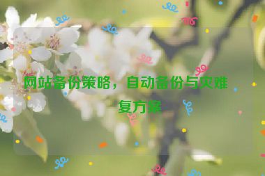 網(wǎng)站備份策略，自動備份與災(zāi)難恢復(fù)方案