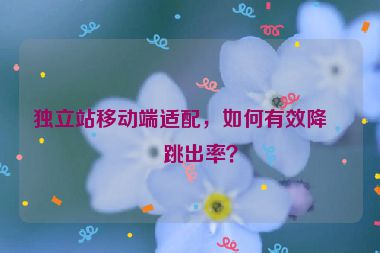 獨(dú)立站移動(dòng)端適配，如何有效降低跳出率？