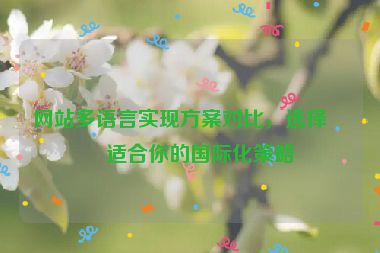 網(wǎng)站多語(yǔ)言實(shí)現(xiàn)方案對(duì)比，選擇最適合你的國(guó)際化策略