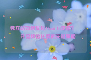 獨(dú)立站如何優(yōu)化About Us頁面？提升品牌信任度的關(guān)鍵策略