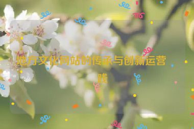 地方文化網(wǎng)站的傳承與創(chuàng)新運(yùn)營(yíng)實(shí)踐