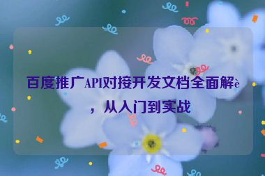 百度推廣API對接開發(fā)文檔全面解讀，從入門到實戰(zhàn)