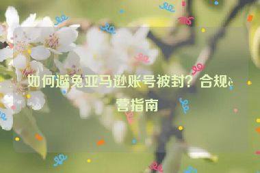 如何避免亞馬遜賬號(hào)被封？合規(guī)運(yùn)營(yíng)指南