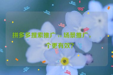 拼多多搜索推廣 vs 場(chǎng)景推廣，哪個(gè)更有效？