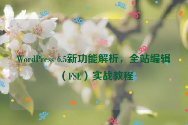 WordPress 6.5新功能解析，全站編輯（FSE）實(shí)戰(zhàn)教程