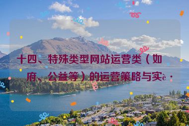 十四、特殊類型網(wǎng)站運營類（如政府、公益等）的運營策略與實踐