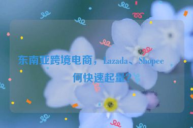 東南亞跨境電商，Lazada、Shopee如何快速起量？