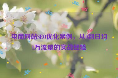 電商網(wǎng)站SEO優(yōu)化案例，從0到日均1萬流量的實戰(zhàn)經(jīng)驗