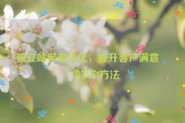 獨(dú)立站客服優(yōu)化，提升客戶滿意度的5個(gè)方法