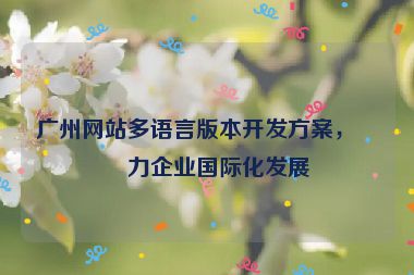 廣州網(wǎng)站多語言版本開發(fā)方案，助力企業(yè)國際化發(fā)展