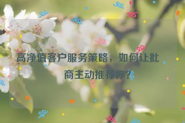 高凈值客戶服務(wù)策略，如何讓批發(fā)商主動(dòng)推薦你？
