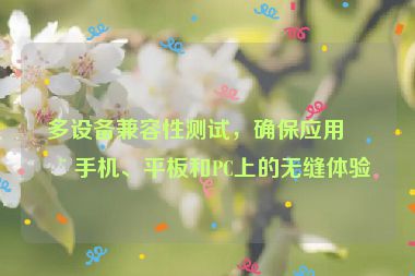 多設(shè)備兼容性測(cè)試，確保應(yīng)用在手機(jī)、平板和PC上的無(wú)縫體驗(yàn)