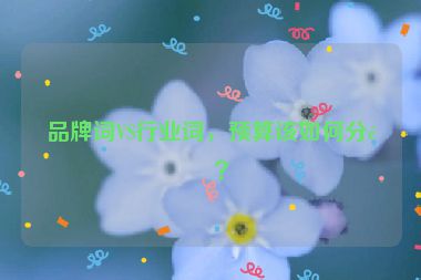 品牌詞VS行業(yè)詞，預(yù)算該如何分配？