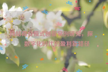 網(wǎng)站商業(yè)模式創(chuàng)新案例研究，探索數(shù)字化時代的盈利新路徑