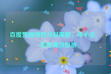 百度營(yíng)銷(xiāo)預(yù)算分配策略，中小企業(yè)如何高效投放